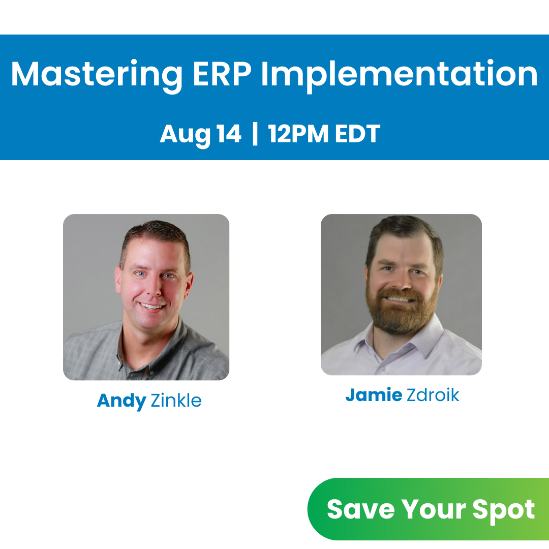 Newsletter August 2024 - Mastering ERP implementation - goVirtualOffice