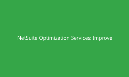 NetSuite Optimization Services: Improve Performance & Maximize ROI in 2026